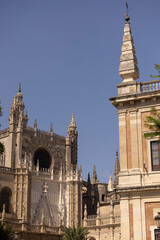 Fototapeta premium Morning sunny summer view of historic architectural features next to the downtown cathedral of Seville, Andalusia, Spain.
