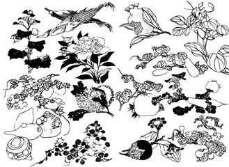 Vintage black and white flowers and plants. Wild flowers outlines collection isolated on a white background