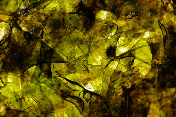 Macro texture of roasted seaweed snack. Seaweed is low in calories, fat,sugar and a good source of minerals, vitamins and omega 3s but may contain heavy metals and high sodium