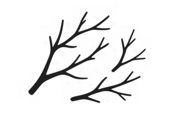 Bare tree branches with falling snow drawing, black and white winter season illustration, vector art on transparent background