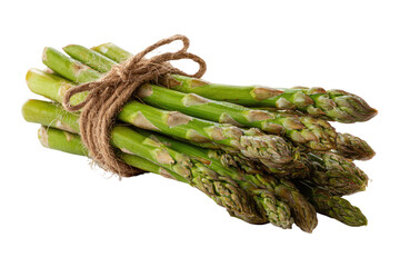 Asparagus spears bundled with twine, isolated on black