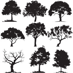 Set of trees in silhouettes