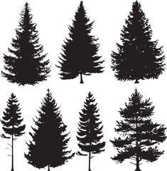 Obraz premium Set of Pine trees in silhouettes