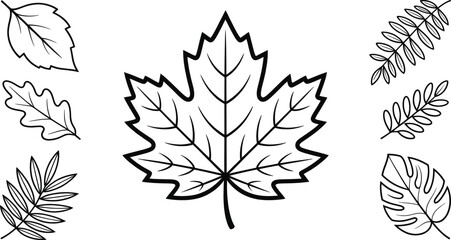 Outline drawing of a large maple leaf surrounded by various simple black and white leaf shapes for coloring books.