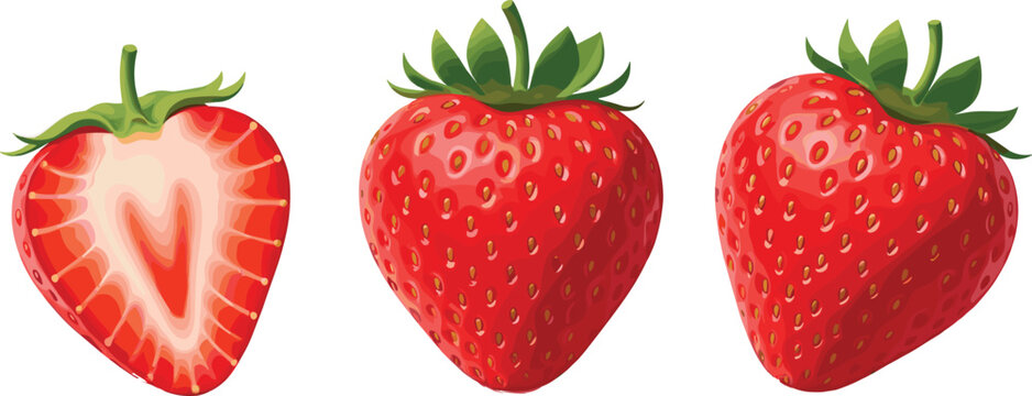 Realistic strawberry vector set featuring whole ripe berries and sliced fruit with detailed seeds, texture, and vibrant colors