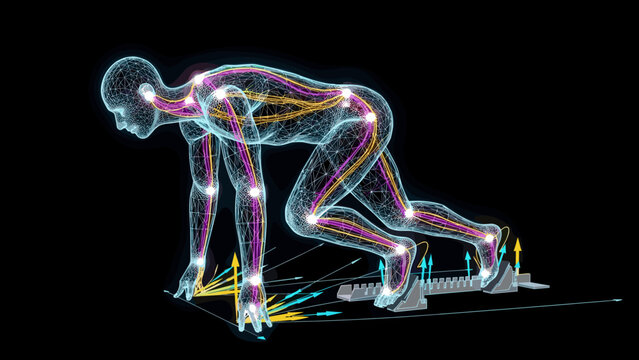 Sprinter Biomechanics Wireframe Analysis, Low Poly Athlete with Force Vector Overlays - Tokyo 2025 World Athletics Concept