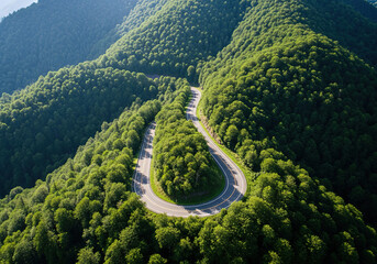 aerial view of a road in the middle of the forest