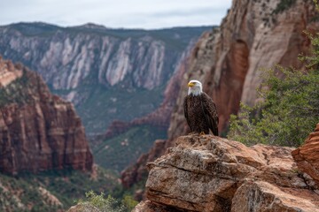 Eagle perched on jagged rock with stunning mountain backdrop