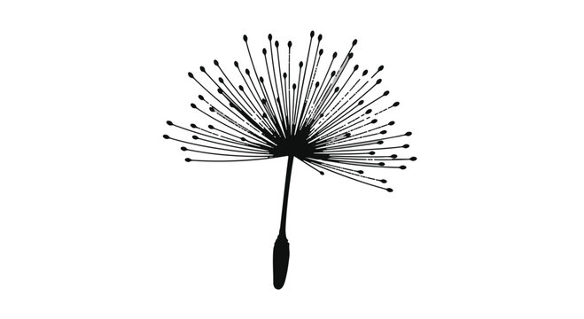 Single delicate dandelion seed head floats suspended in the air as a fine botanical graphic.