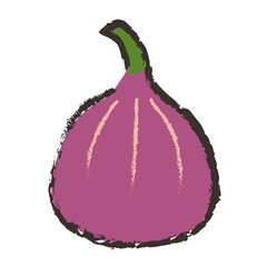 イチジクのイラスト