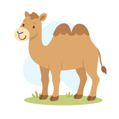 Cartoon bactriancamel vector illustration. Cute camel isolated on white background