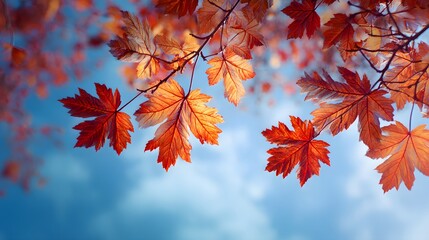 Vibrant orange and red deciduous foliage contrasts sharply against a clear blue sky during the autumn season