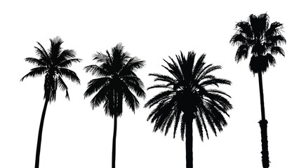 Obraz premium Silhouette of four palm trees on white background