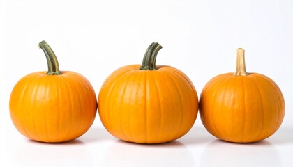 Obraz premium Pumpkin