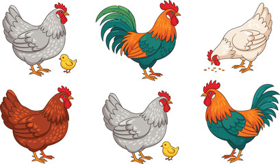 Colorful chicken and rooster illustration set showing hens cocks and chicks in different poses, farm poultry animal vector collection