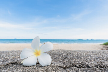 Beautiful nature sea summer background,Sand beach