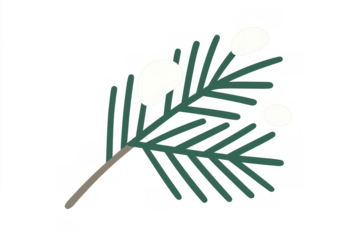 Pine branch with snow decorating for christmas season, winter nature element on transparent background