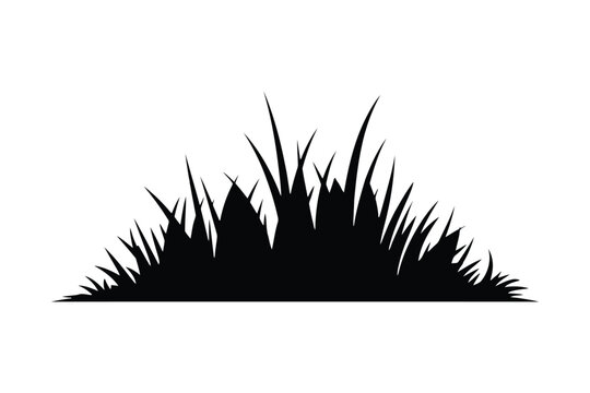 Black silhouette of a clump of grass on a white background vector