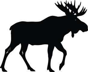 Moose silhouette vector illustration showing large antlers and walking pose for wildlife, forest animal, nature, and outdoor themes.
