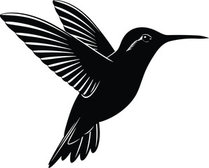 Black and White Hummingbird Silhouette in Flight with Detailed Wings, Long Beak, Feather Texture, Nature Wildlife Vector for Design Use