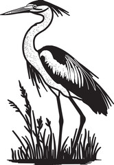 Elegant heron standing amidst reeds a detailed black and white illustration