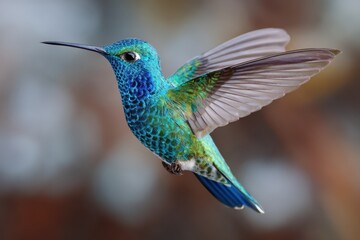 Naklejka premium Majestic hummingbird in dynamic flight showcasing its vibrant plumage against a blurred natural background at golden hour