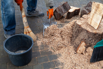 Man sweeping sawdust in yard