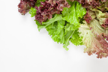 Summer lettuce salad isolated on white background