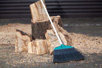 Brush lies place where wood was cut in yard