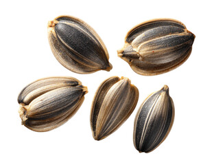 Group of five sunflower seeds in their hulls on black
