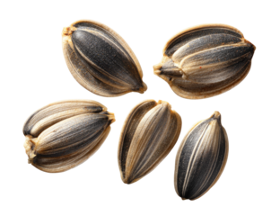 Group of five sunflower seeds in their hulls on black