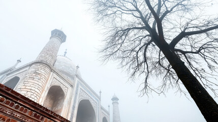 Majestic monument shrouded in fog, showcasing intricate architecture and towering minarets, with bare tree in foreground