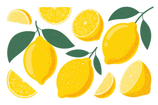 Vibrant Lemons Illustration with Slices and Leaves