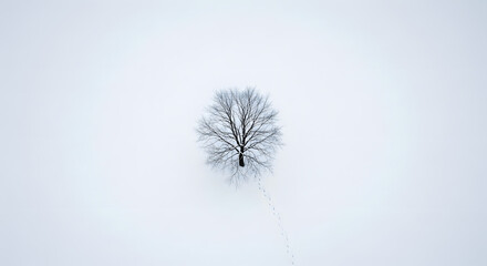 Lonely tree in snow-covered landscape during winter season  