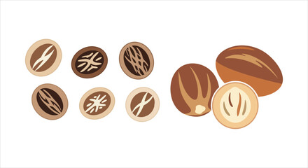 Flavorful Nutmeg Collection Detailed Illustrations of Whole, Halved, and Stylized Spice Icons