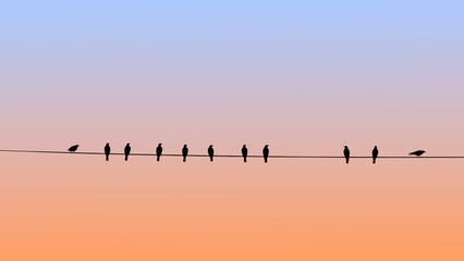 Silhouette birds sitting wire electric line sunset orange sky background nature minimalism animal flock evening outdoor wild graphic illustration creative wallpaper calm atmosphere