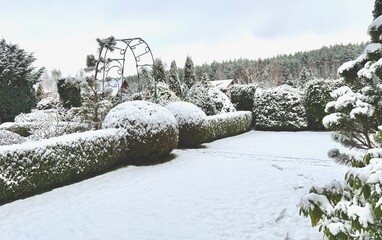 Snow covering winter garden with trimmed hedges, rounded topiary plants, and various evergreen trees under a cloudy sky