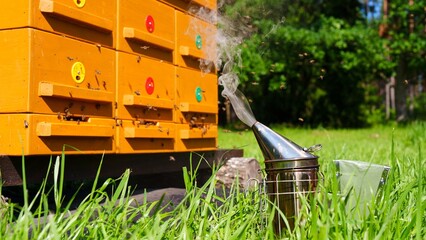 A beekeeper uses a smoker near vibrant beehives in a meadow. This image represents beekeeping, honey production, and sustainability, making it perfect for apiary businesses or creative projects.