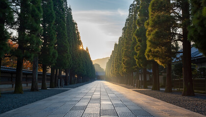 朝日に照らされた杉並木と石畳の参道