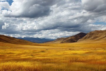 Vibrant yellow wild grass stretches across the Tibet Plateau under a dramatic sky with clouds and mountains visible in the distance