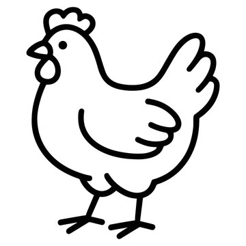 Galinha de fazenda