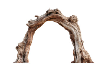 Arched driftwood structure, weathered and organic