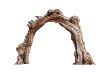 Arched driftwood structure, weathered and organic