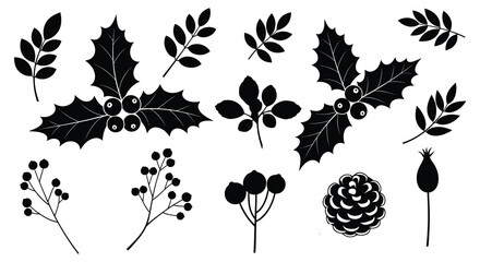 Black silhouette collection of winter botanical elements and pine cone holly leaf
