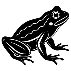 Stylized black silhouette of a frog with white accents on a white background