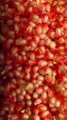 pomegranate seeds close up