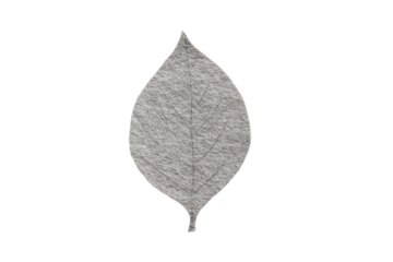 Gray leaf outline with thin lines, isolated on black