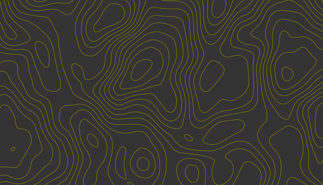 Black and Yellow Abstract Contour Line Pattern