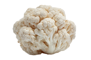 Creamy white cauliflower head; knobby, fractal texture
