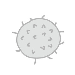 white blood cells vector
